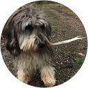 GeSh R. profile picture